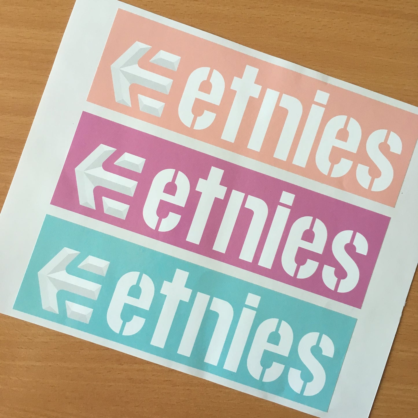 etnies logo stickers